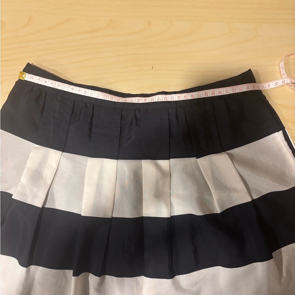 J. Crew White and Blue Skirt (US 2) - Picture 5 of 12